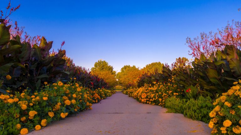 Industry Spotlight: Why You Should Buy a Landscaping Business
