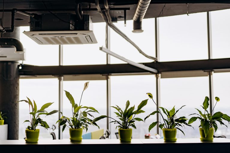 Buying an HVAC Business: Why HVAC Companies Should Be Your Top Acquisition Option